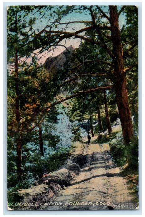 1915 Blue Bell Canyon Country Road Boulder Colorado CO Posted Trees Postcard
