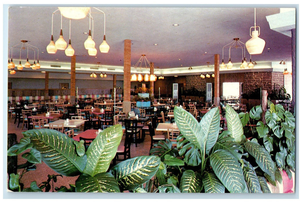 c1960's Driftwood Interior Cafeteria St. Petersburg Florida FL Unposted Postcard