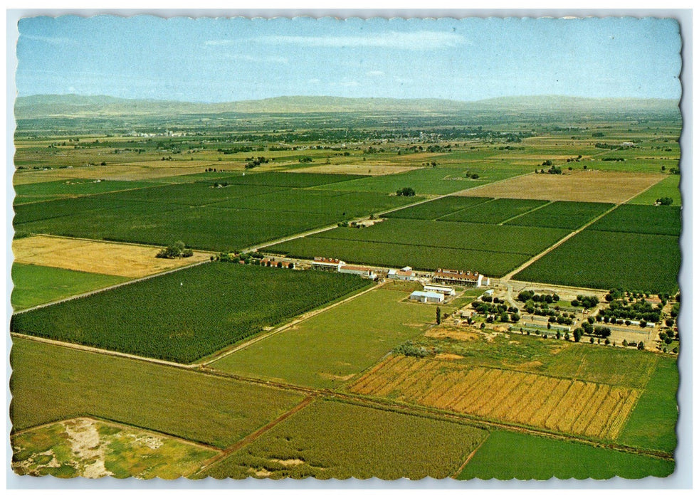 c1960 Aerial View Of Hop Ranch In The Yakima River Valley Washington WA Postcard