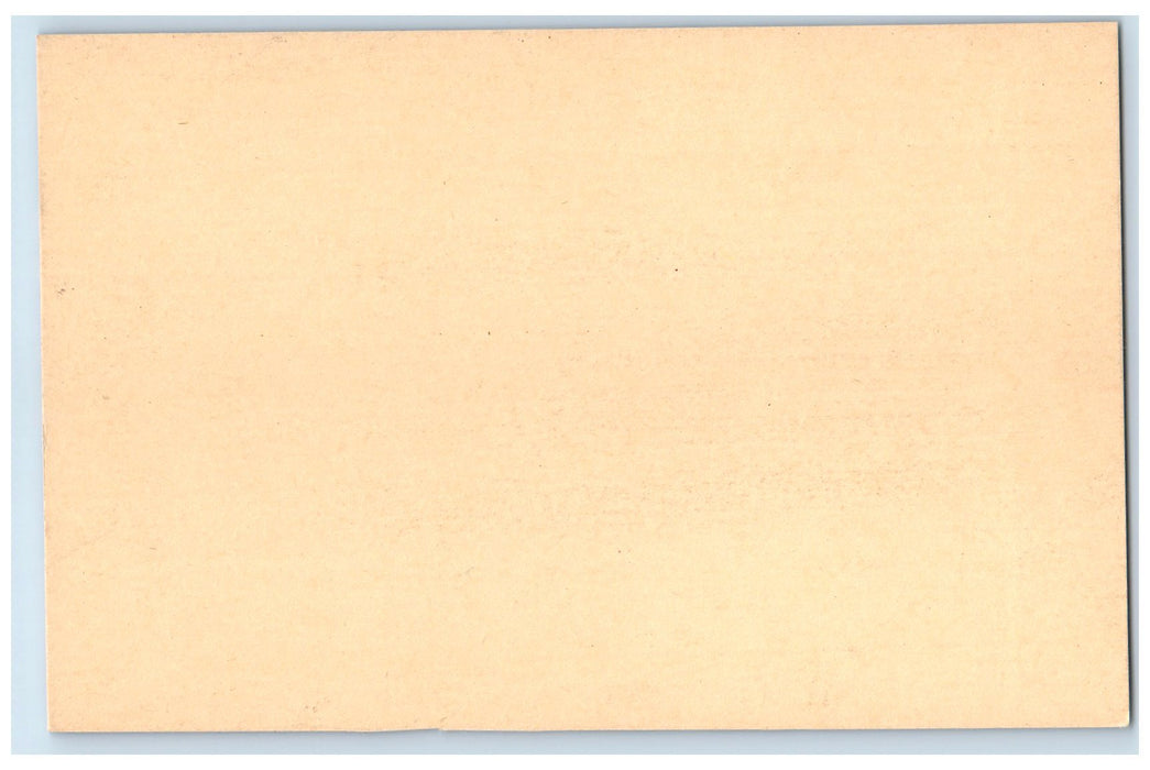 c1905 Cocktail Lounge & Bar Le Roy Hotel & Villas Miami Beach Florida Postcard