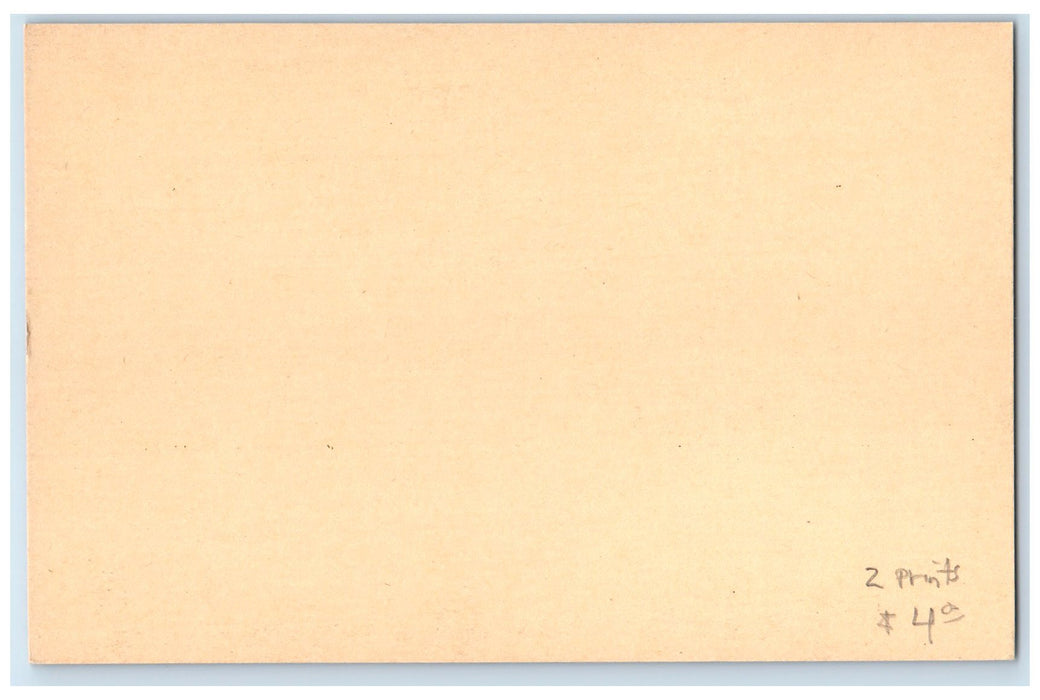 c1905 Dining Room Le Roy Hotel & Villas Restaurant Miami Beach Florida Postcard