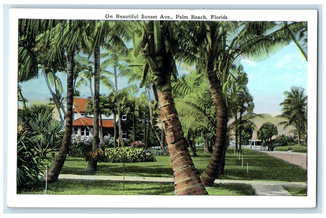 c1960's On Beautiful Sunset Avenue Palm Beach Florida FL Unposted Trees Postcard