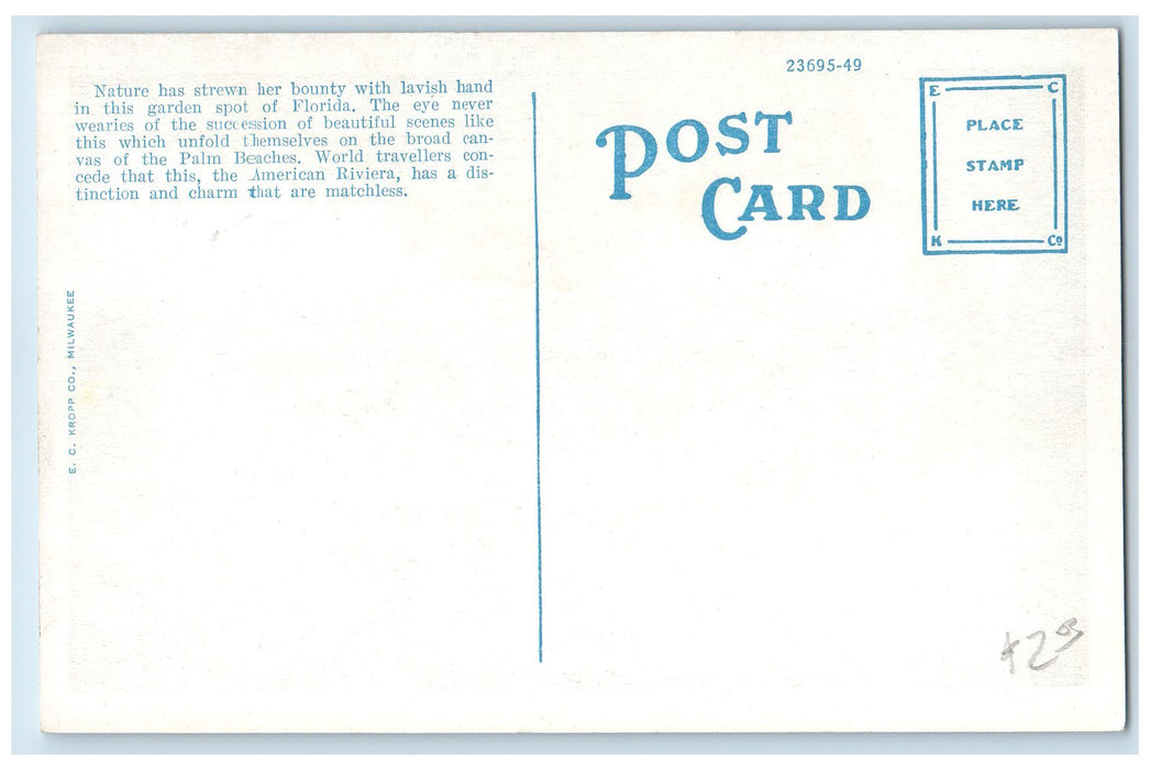 c1960's On Beautiful Sunset Avenue Palm Beach Florida FL Unposted Trees Postcard
