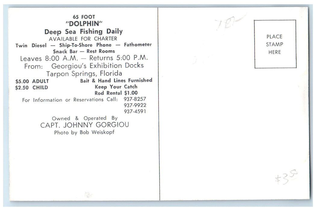 c1960's Dolphin Scene Deep Sea Fishing Daily Tarpon Springs Florida FL Postcard