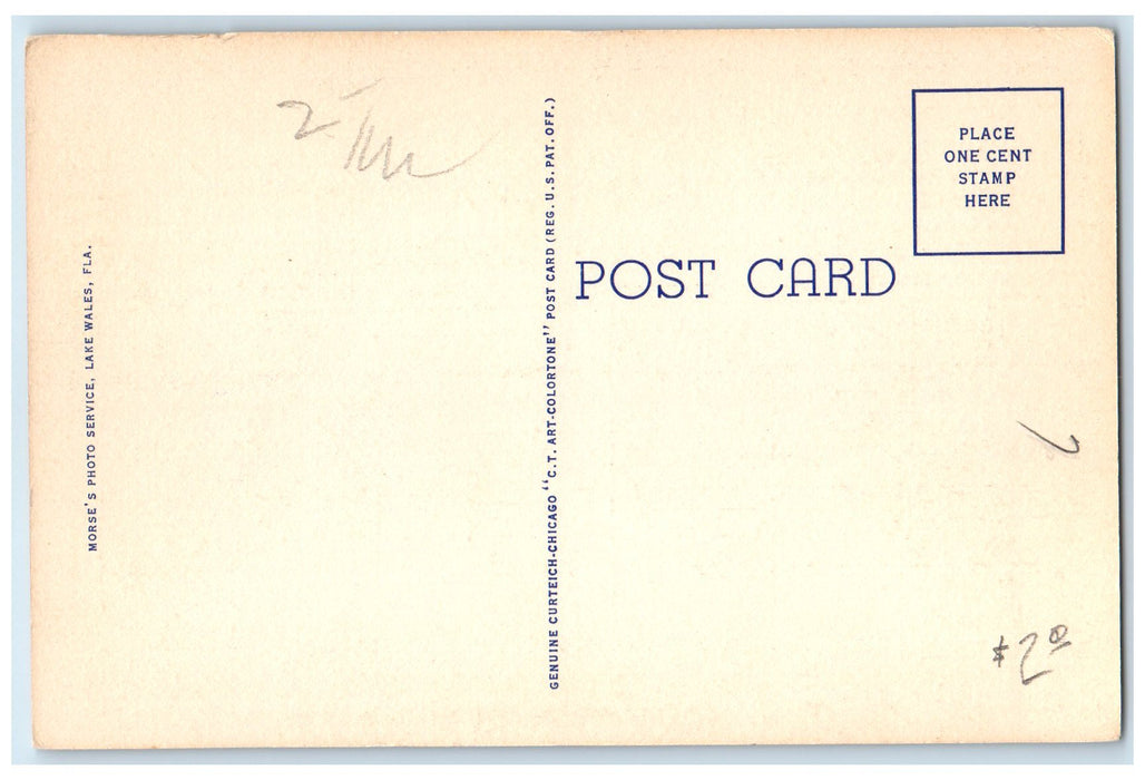c1940's Singing Tower And The Walesbilt Hotel In Lake Wales Florida FL Postcard