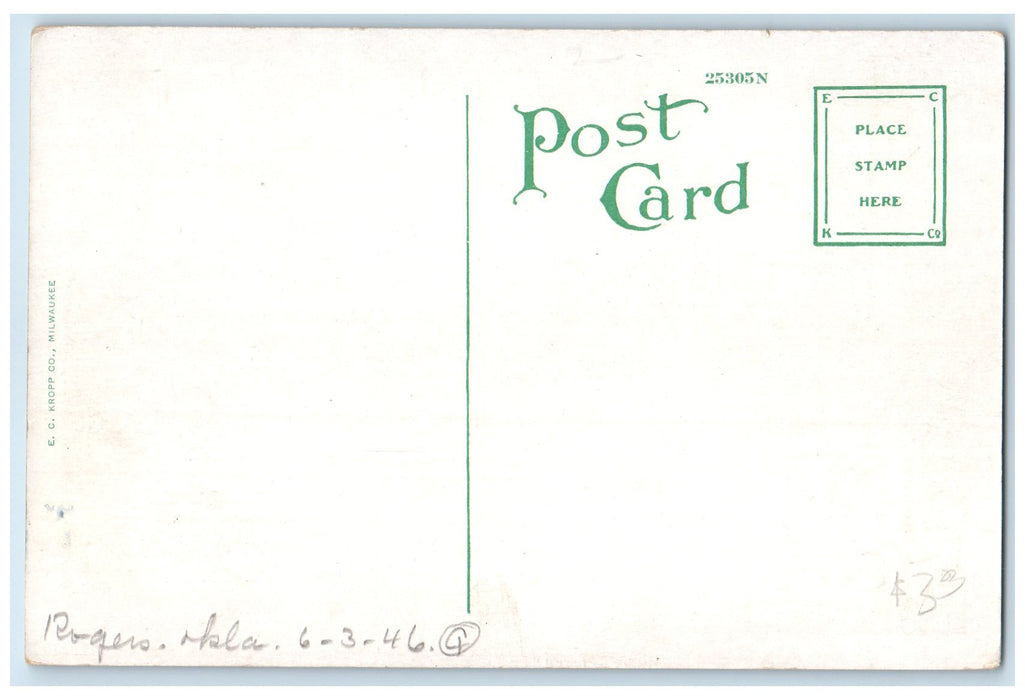 c1920 Catholic Church And School House Chanute Kansas KS Unposted Trees Postcard
