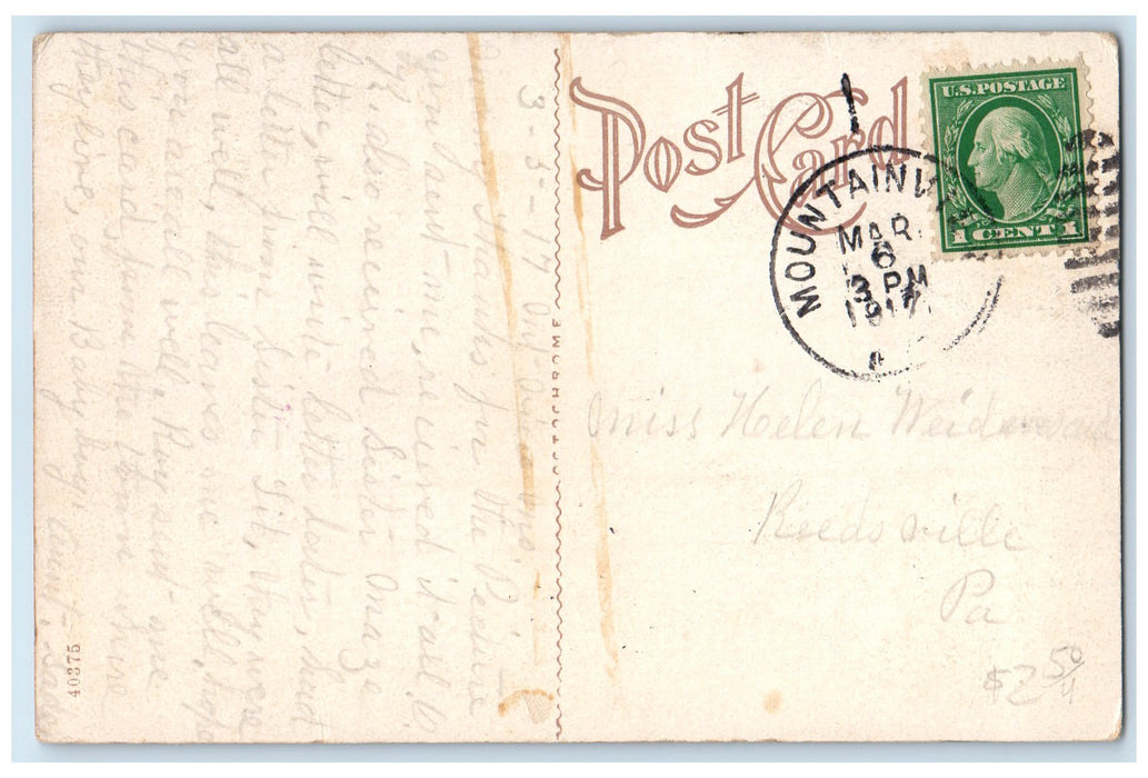 1917 Public Library Exterior Roadside Chanute Kansas KS Posted Trees Postcard