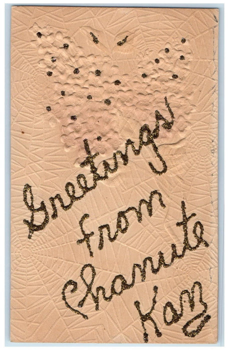 c1910's Greetings From Chanute Kansas KS Unposted Embossed Spider Web Postcard