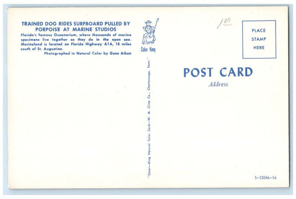 c1960s Trained Dog Rides Surfboard By Porpoise St. Augustine Florida FL Postcard