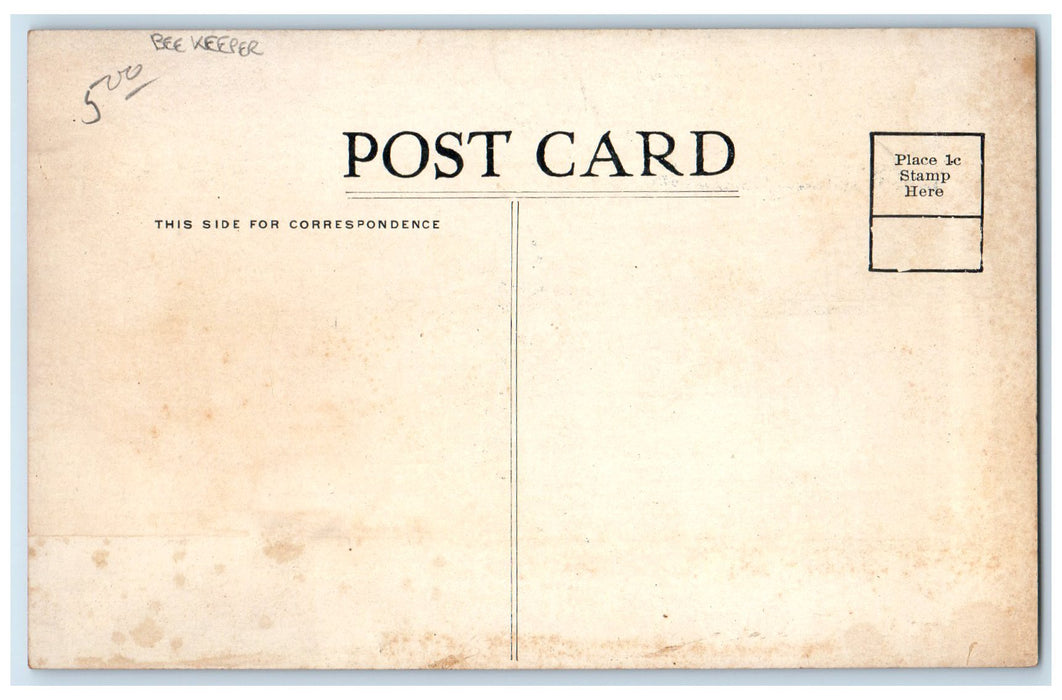 c1910s Newton Avenue North Minneapolis Minnesota MN Unposted Bee Keeper Postcard