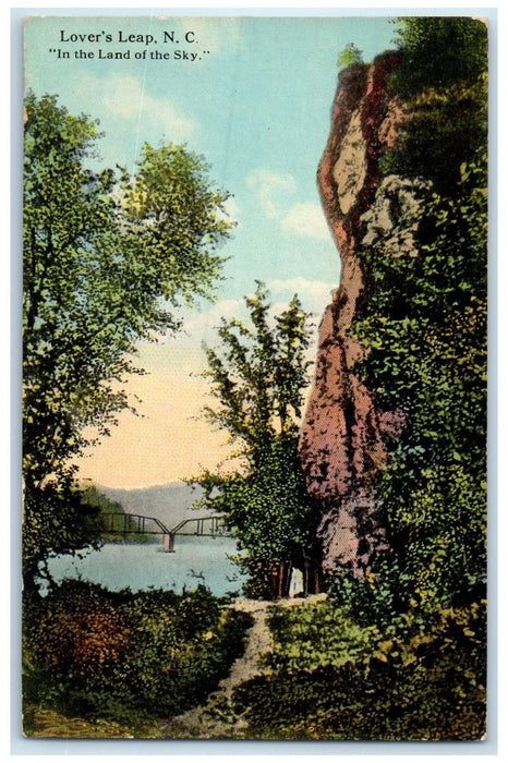 c1920's Lover's Leap Bridge And Trees Scene Asheville North Carolina NC Postcard