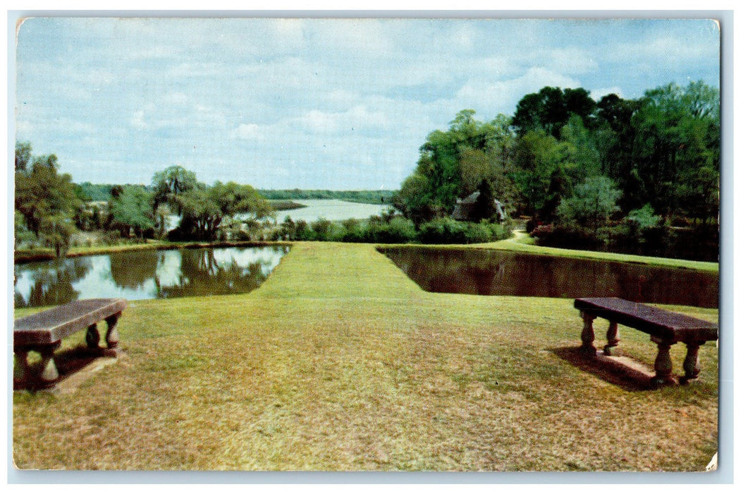 c1960's Middleton Gardens Charleston South Carolina SC Unposted Bench Postcard