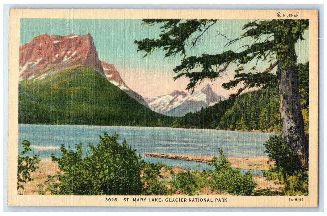 1942 St. Mary Lake Glacier National Park Seattle Washington WA Trees Postcard