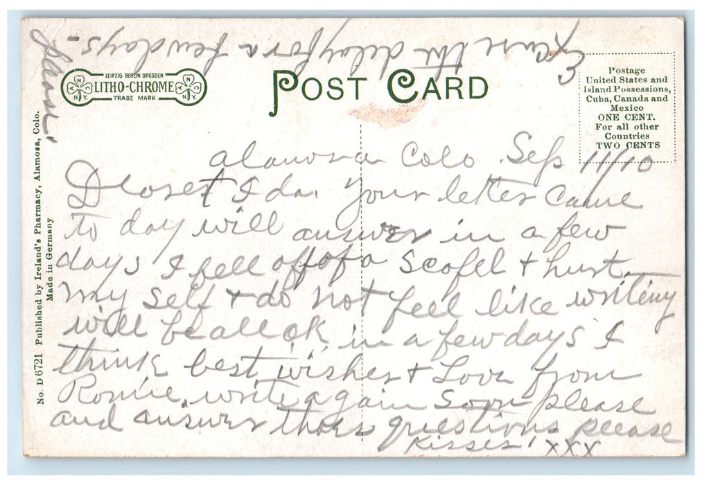 c1910's State Avenue Residences And Trees Alamosa Colorado CO Unposted Postcard