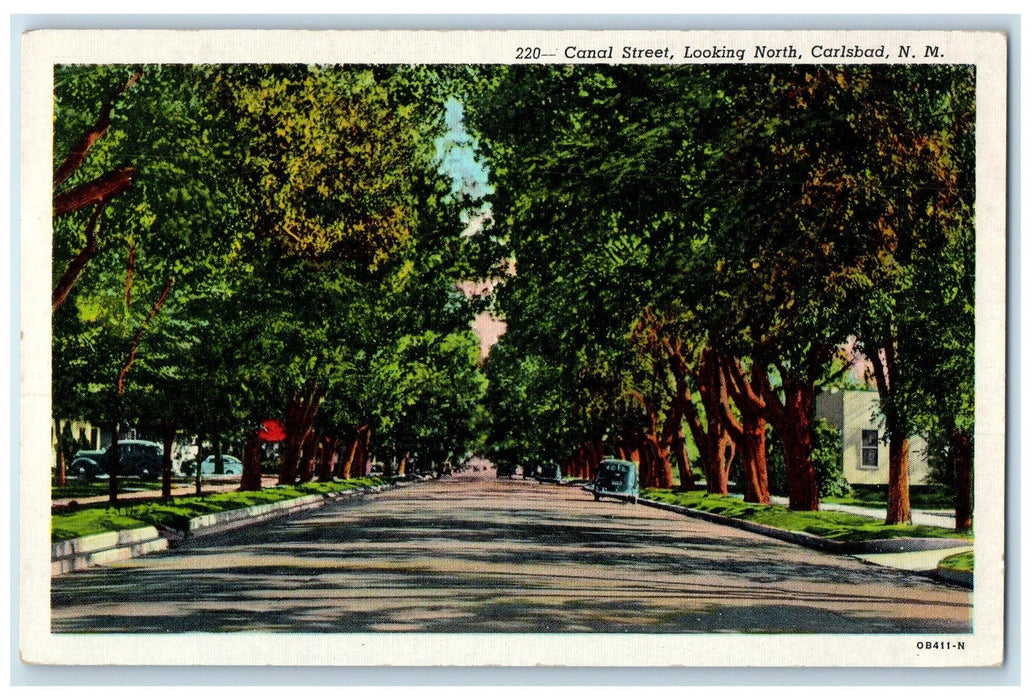 c1940s Canal Street Looking North Carlsbad New Mexico NM Unposted Trees Postcard