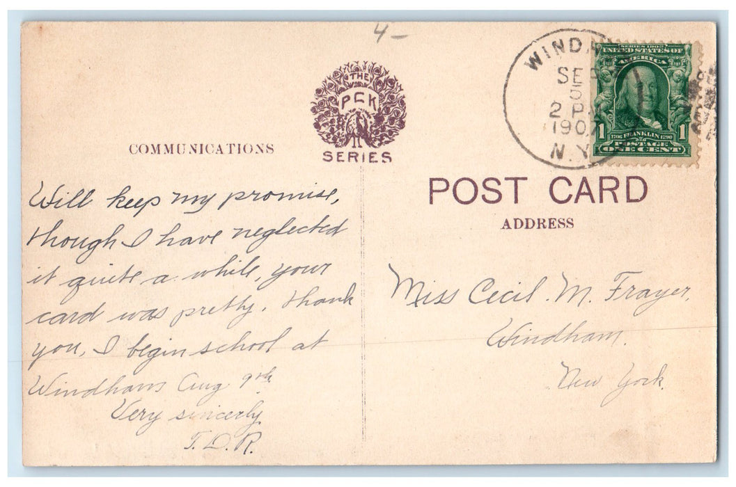 1907 Catskill Mountain Main Street Hensonville New York NY Posted Trees Postcard