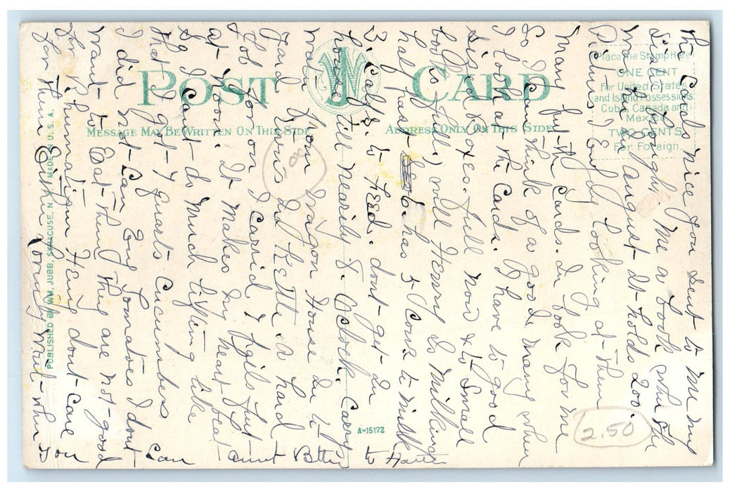 c1910's Promenade St. Charles Hotel & Restaurant Sylvan Beach New York Postcard