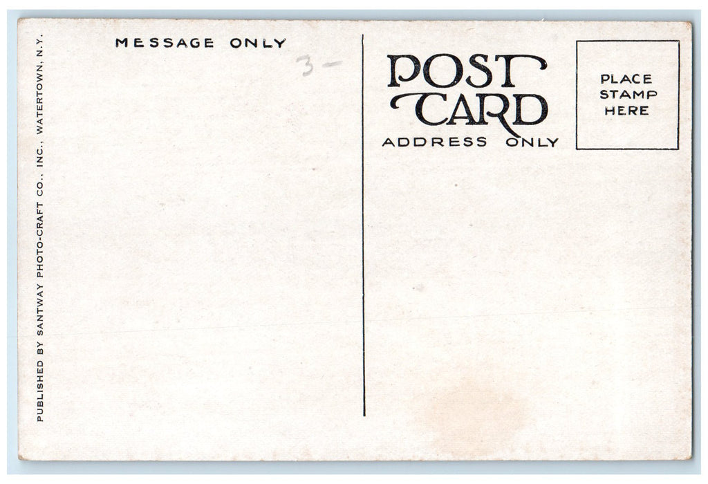 c1910's Hotel Saranac & Restaurant Building Cars Saranac Lake New York Postcard