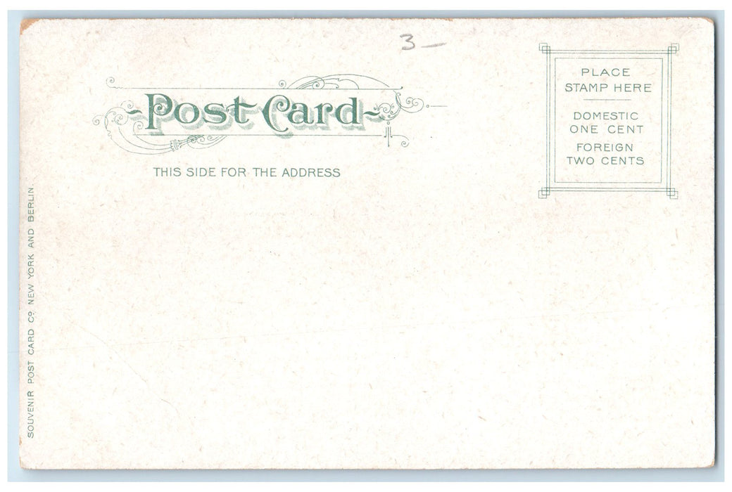 c1905's Worden Hotel & Restaurant Building Carriage Saratoga New York Postcard