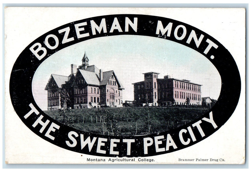 1910 The Sweet Pea City Montana Agricultural College Bozeman Montana Postcard