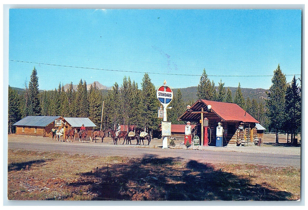 c1960's Skyline Dude Ranch Cabins And Trailer Court Cooke Montana MT Postcard