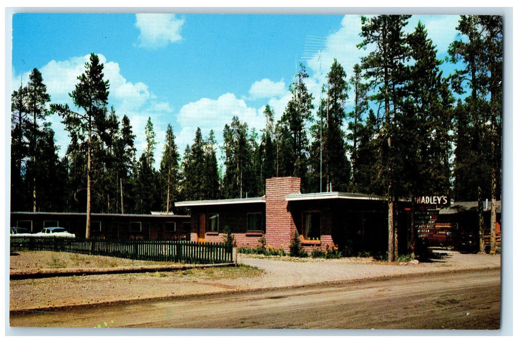 c1960s Hadley's Motel Roadside West Yellowstone Montana MT Unposted Postcard