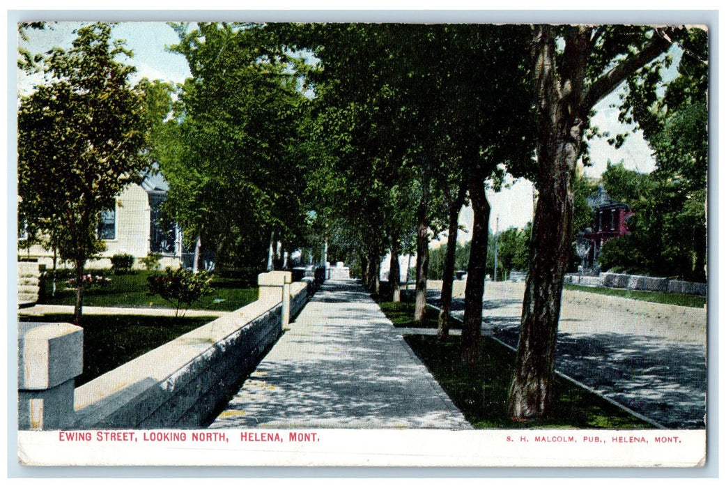 1910 Ewing Street Looking North Trees Scene Helena Montana MT Posted Postcard