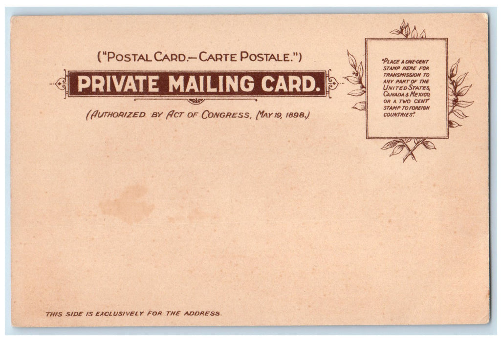 c1905s City Hall Exterior Roadside St. Louis Missouri MO Unposted Tuck Postcard