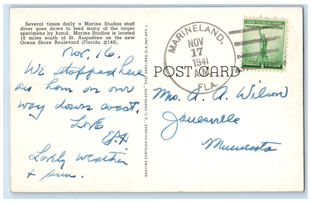 1941 Underwater Feeding Dolphins At Marine Studious Marineland Florida Postcard