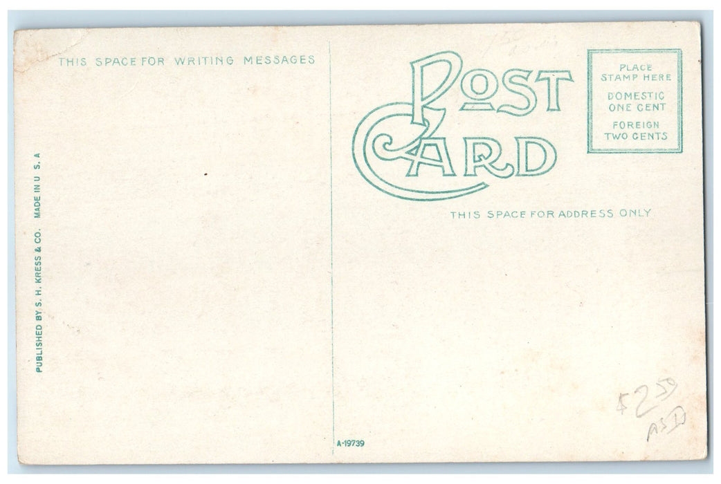 c1910's Gore Addition School Exterior Lawton Oklahoma OK Unposted Flag Postcard