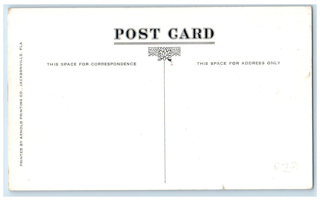 c1940s Basking Scene Florida Alligator Farm Jacksonville Pennsylvania Postcard