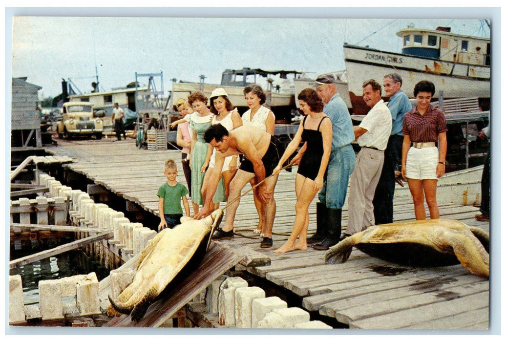 c1960's Visitors To The Beautiful Island Turtle Claws Key West Florida Postcard