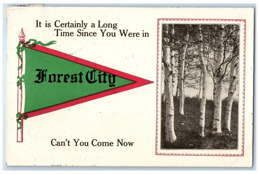 1914 Certainly Long Since You Were In Forest City Correspondence Iowa Postcard