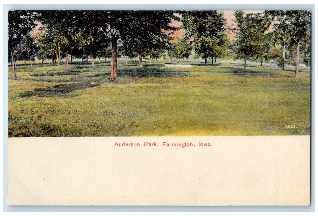 c1920 Anderson Park Ground Trees View Farmington Iowa Vintage Unposted Postcard