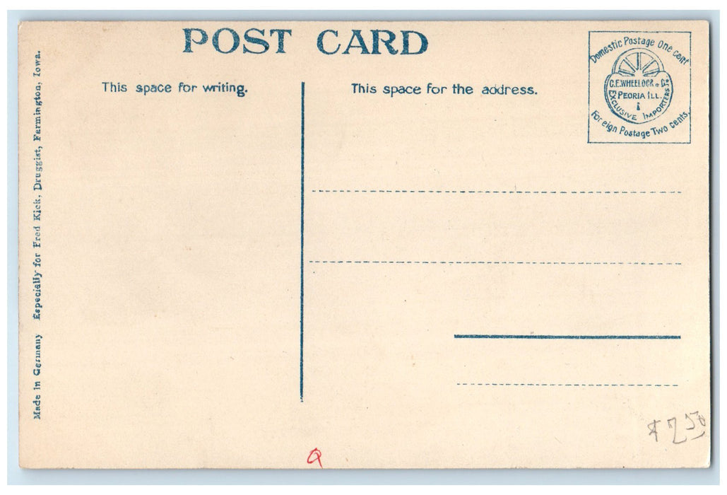 c1920 Anderson Park Ground Trees View Farmington Iowa Vintage Unposted Postcard