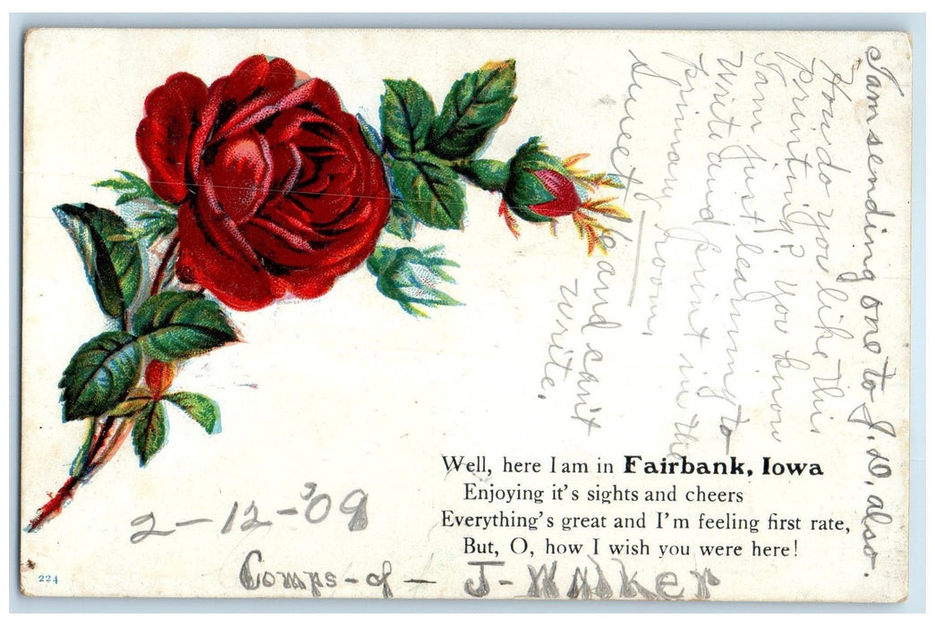 1908 Well Here I am In Fairbank Iowa Correspondence Red Rose IA Posted Postcard