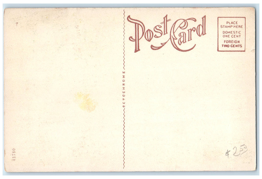 c1910's 8th Street North From Walnut Salinas Kansas KS Unposted Trees Postcard