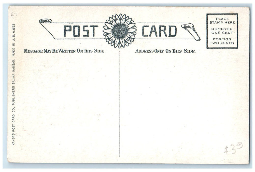 c1910's Central School Exterior Roadside Salinas Kansas KS Unposted Postcard