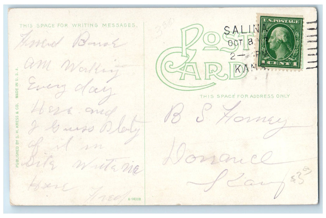 1910 Kansas Wesleyan Business College Trees Salinas Kansas KS Unposted Postcard