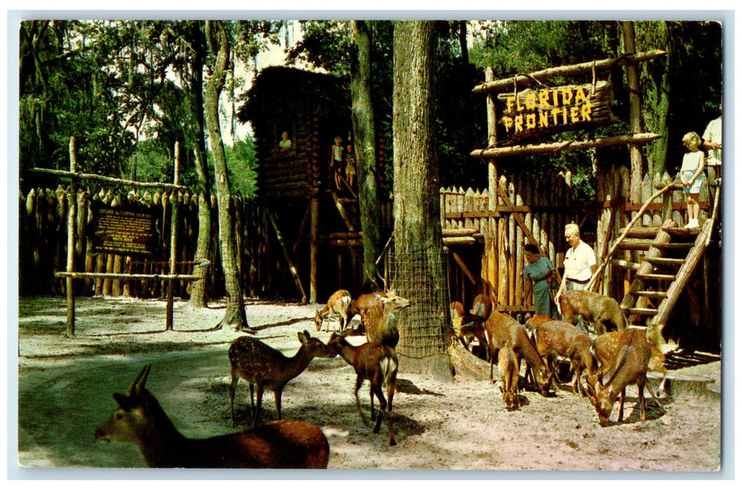 c1950's Florida Frontier Bartlett's Deer Ranch Silver Springs Florida Postcard