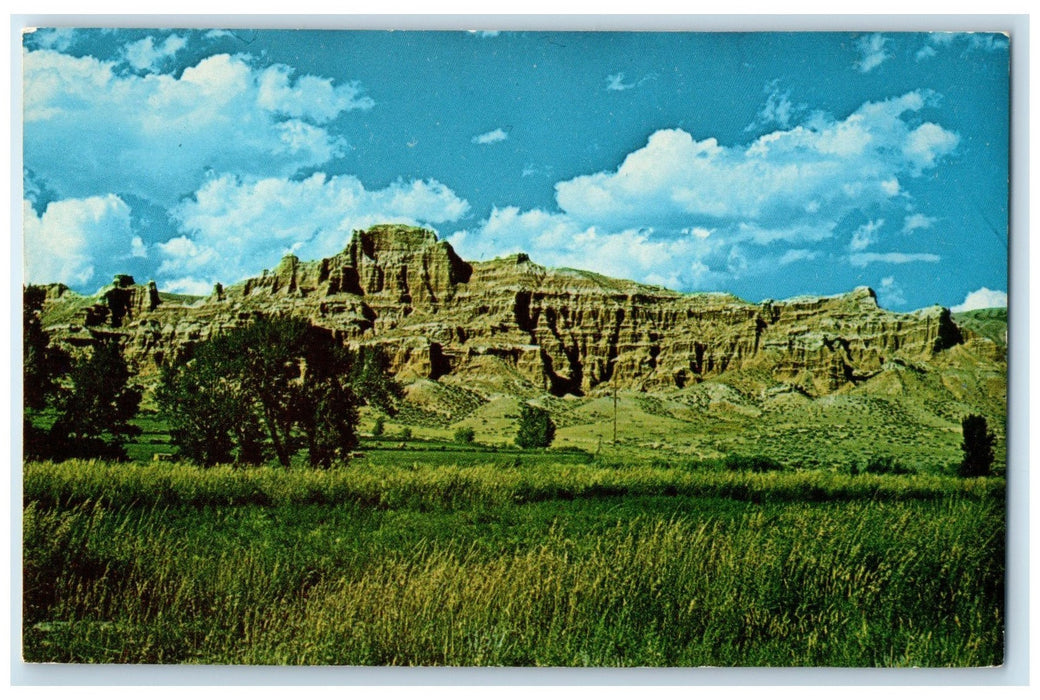 c1960s Scenic View Of Badland Of The Wind River Dubois Wyoming WY Trees Postcard