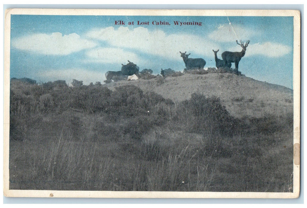 c1910's Scenic View Of Elks At Lost Cabin Minnesota MN Unposted Vintage Postcard
