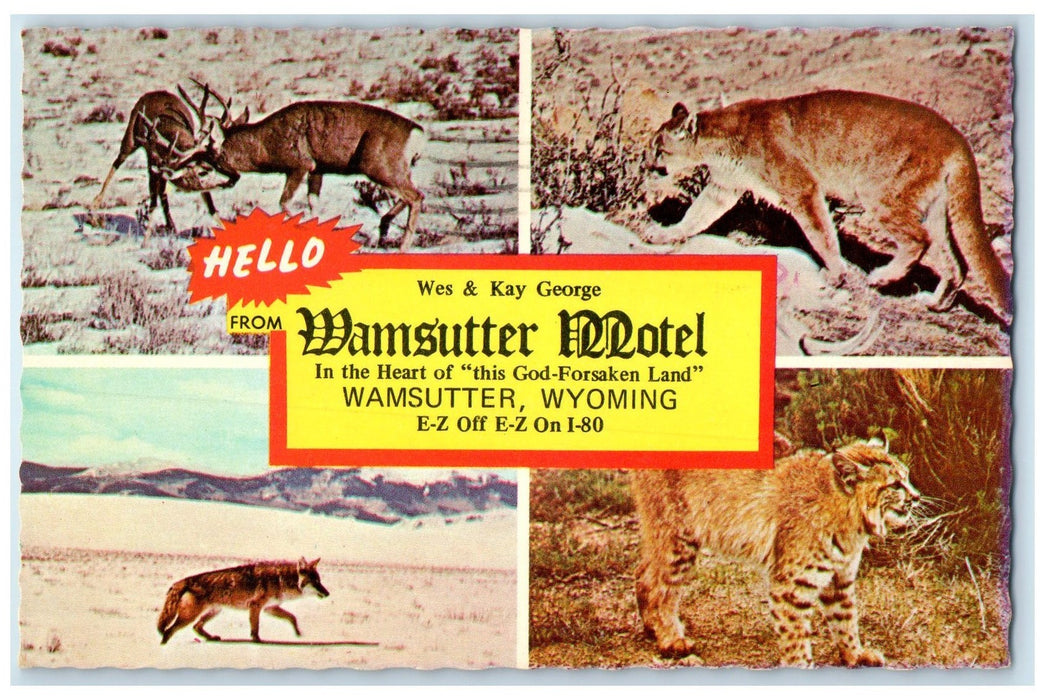 c1960s Hello From Wamsutter Motel Wamsutter Wyoming WY Unposted Animals Postcard
